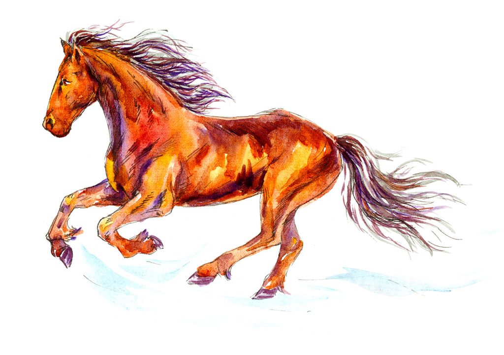 Dessin d'un cheval qui galope