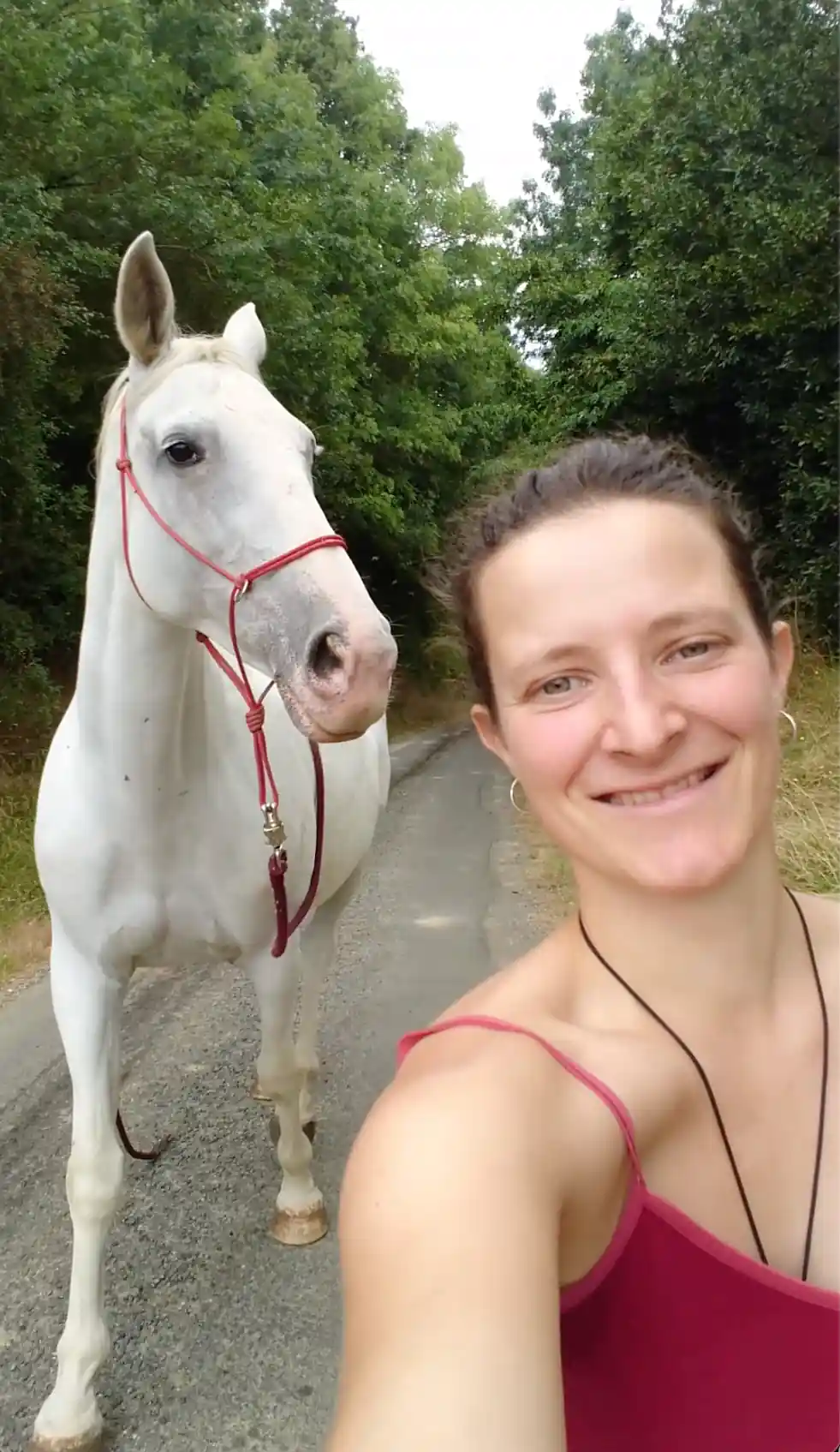 Cheval qui marche aux côtés de Béatrice.