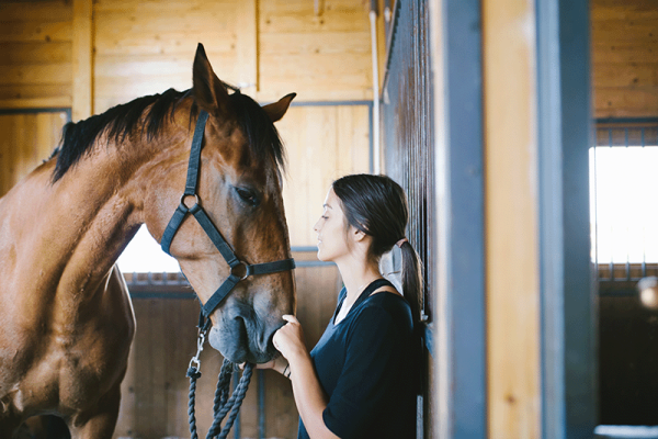 Cheval détendu dans un box avec une femme